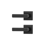 Philips Door Lever